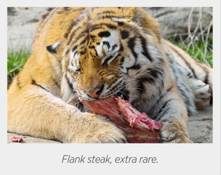flank-steak