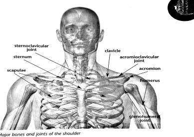 shoulder-impairment-prevention-2