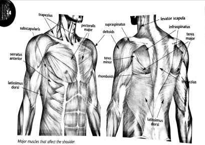 shoulder-impairment-prevention-3