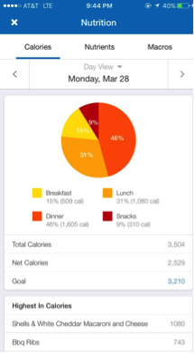 Meal proportions - track your nutrition