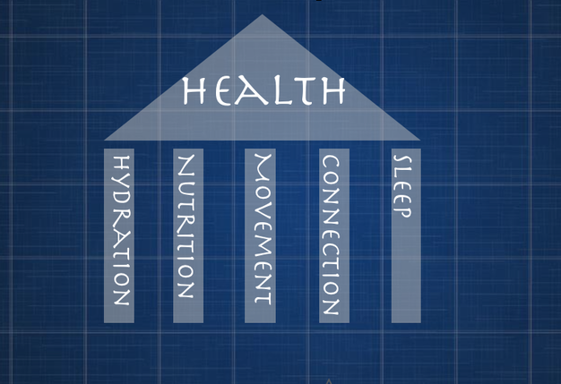 5 pillars of health