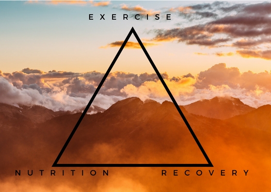 The triangle of health