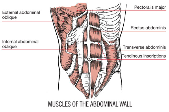 The Best Abs Exercises