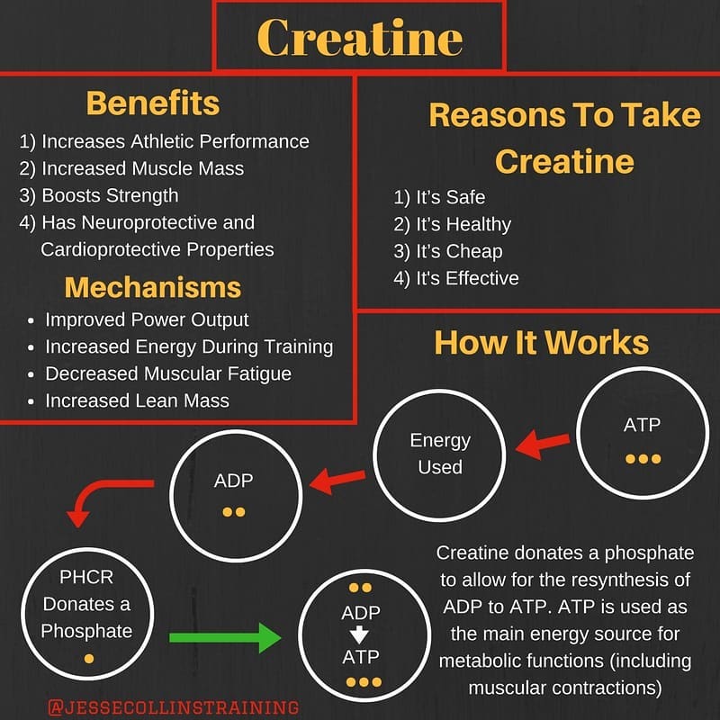 benefits of creatine 