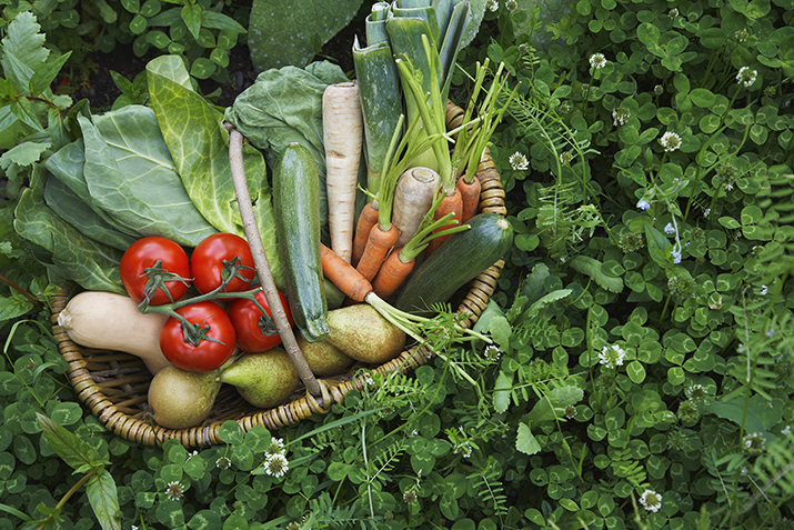 green food to balance alkalinity