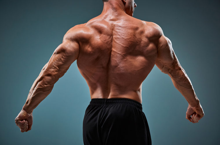 How To Get a Wider Back, Wide Back Exercises