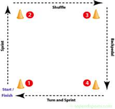 Speed Agility Quickness