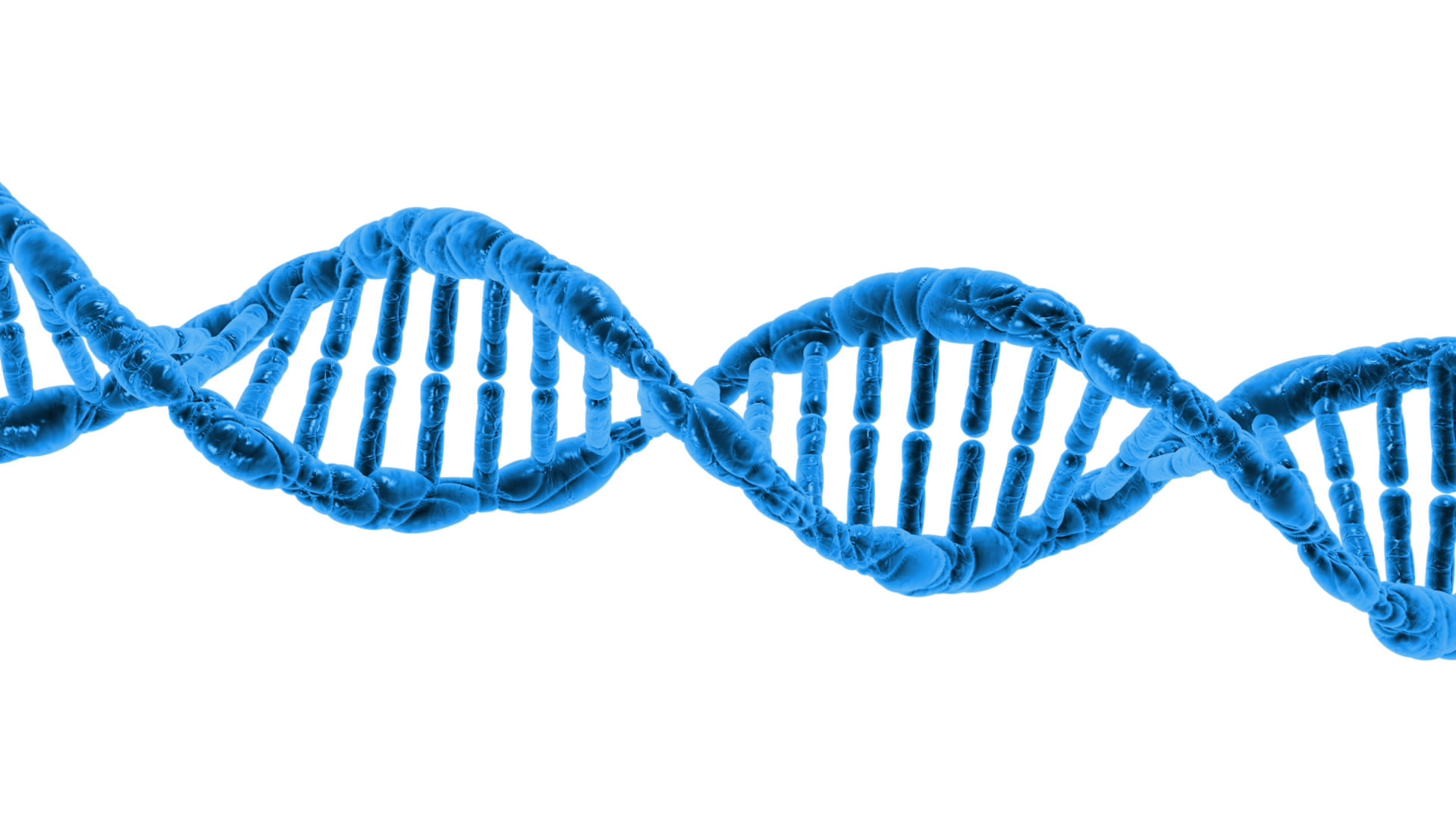 How Telomeres Are Related to Aging