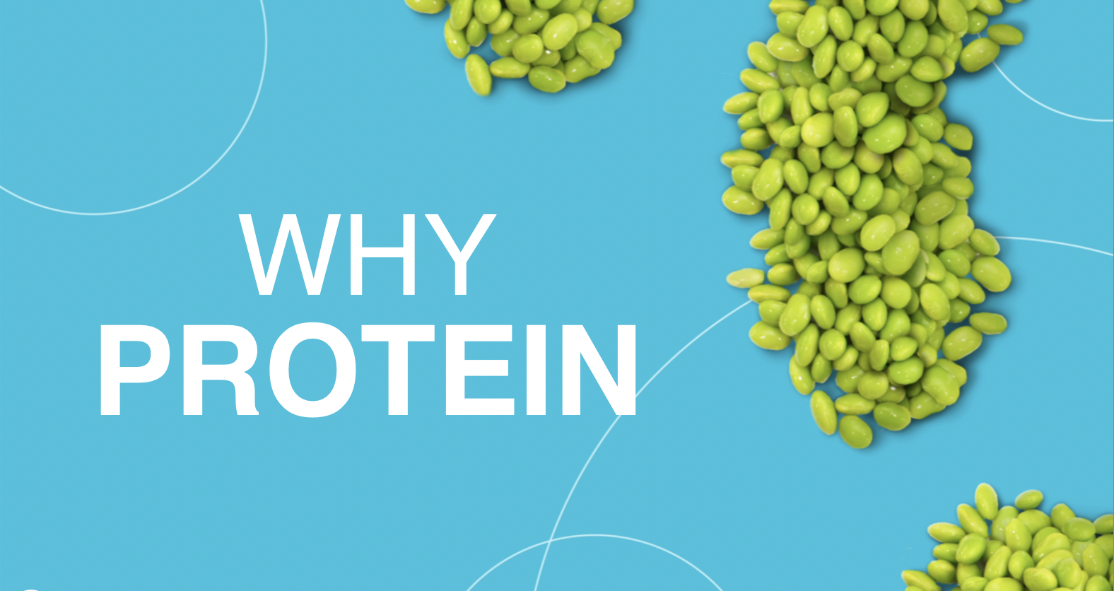 Why Protein