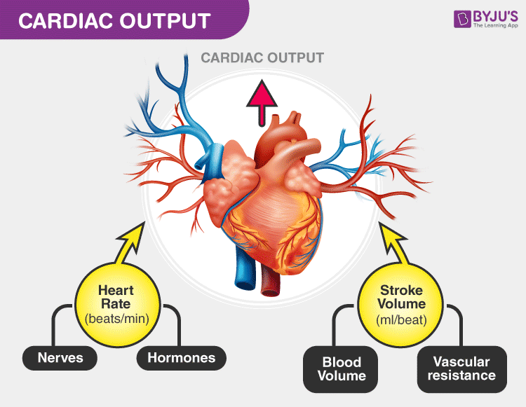  Cardio Part 1 Why Low Intensity Matters Trainerize me