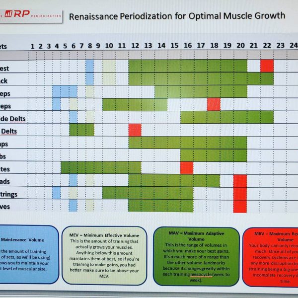 Renaissance Periodization