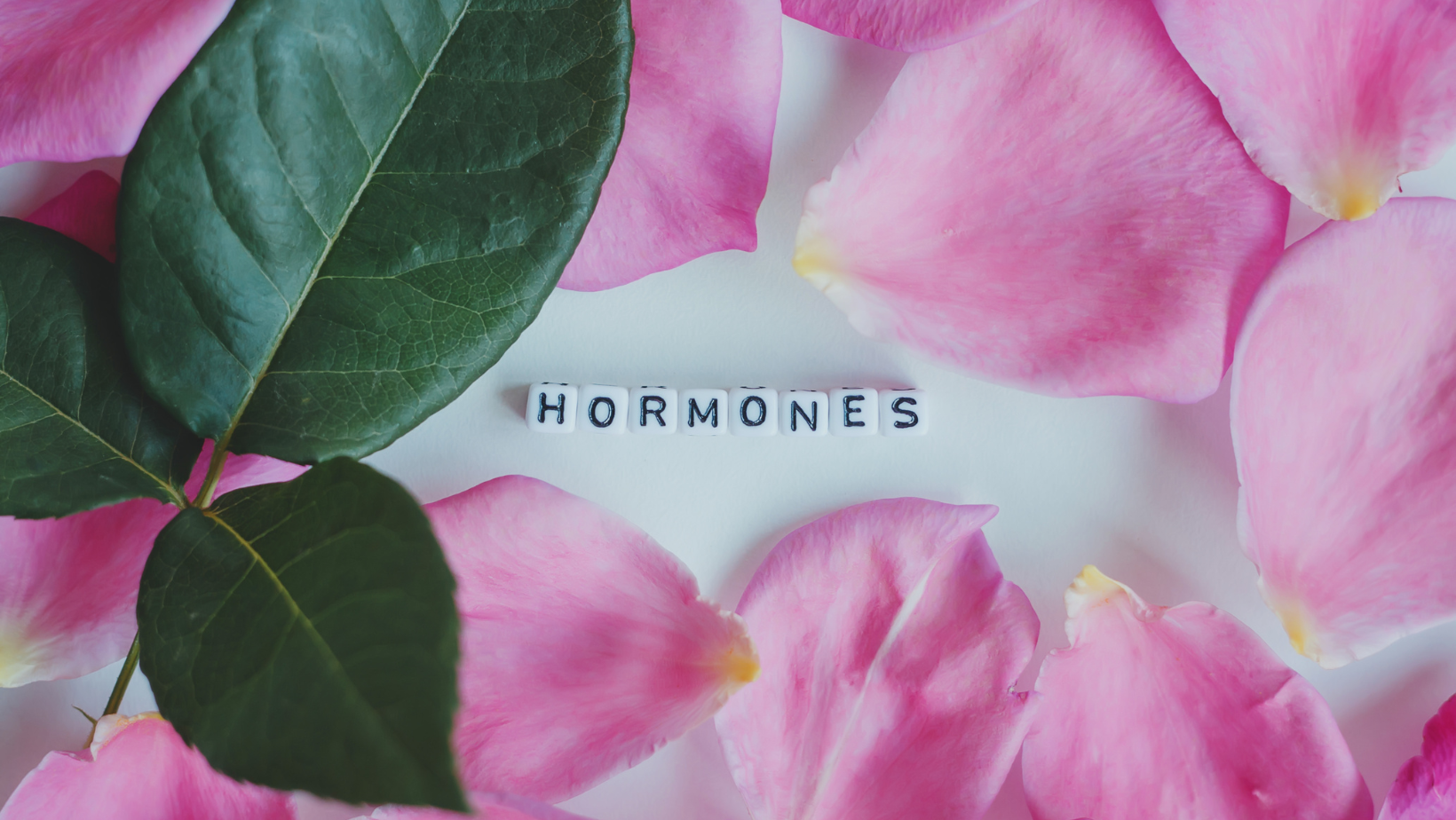 hormones