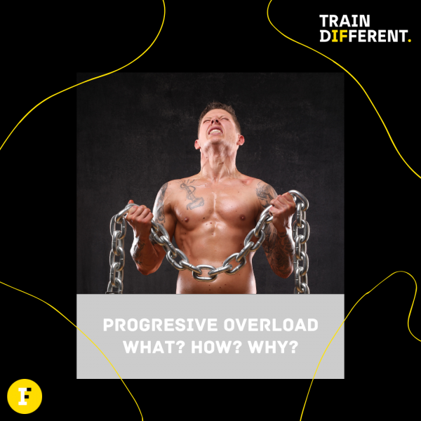 Harnessing the Power of Progressive Overload in Exercise Trainerize.me