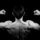 the role of protein in muscle growth
