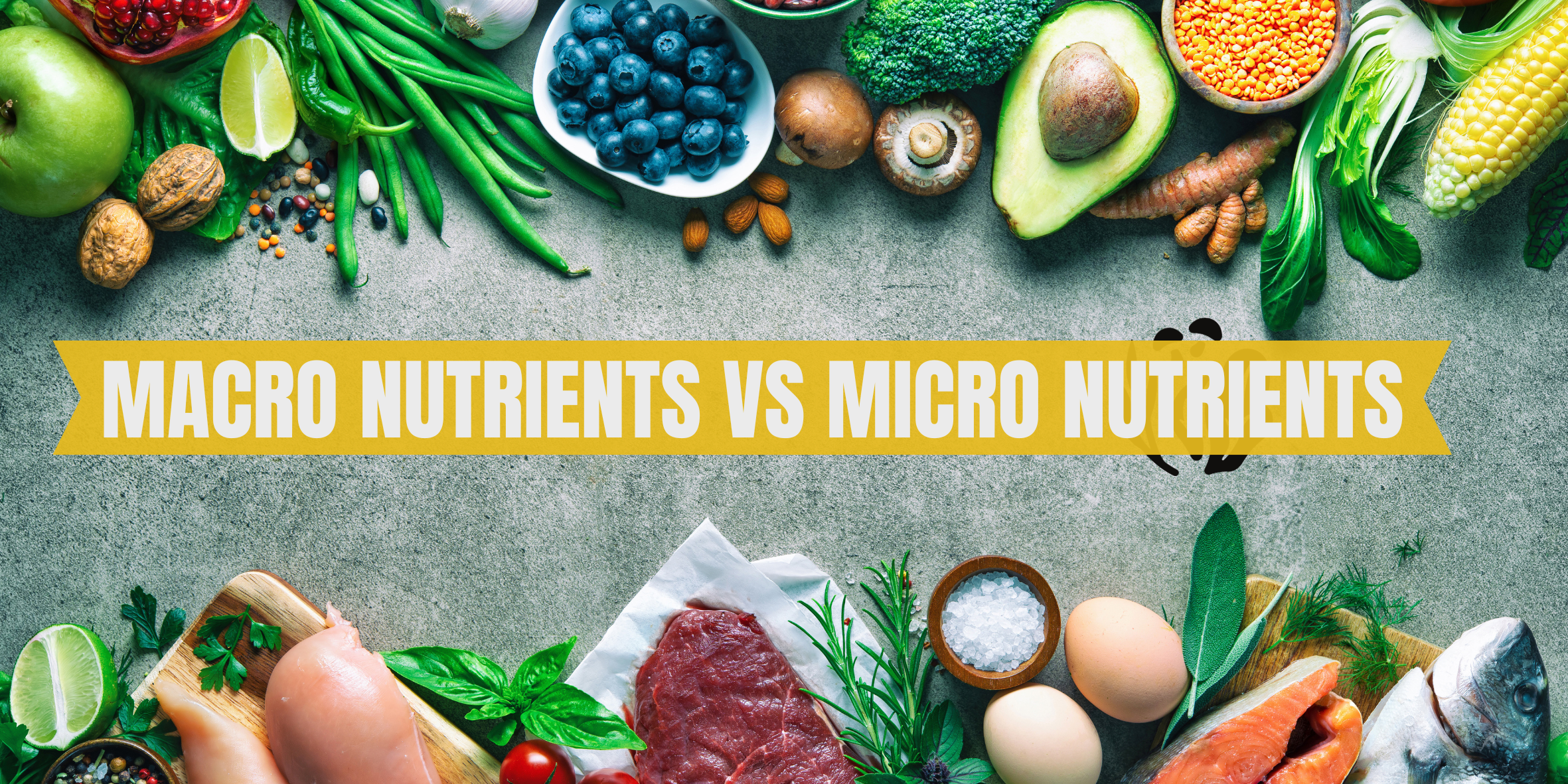 macro nutrients  micro nutrients