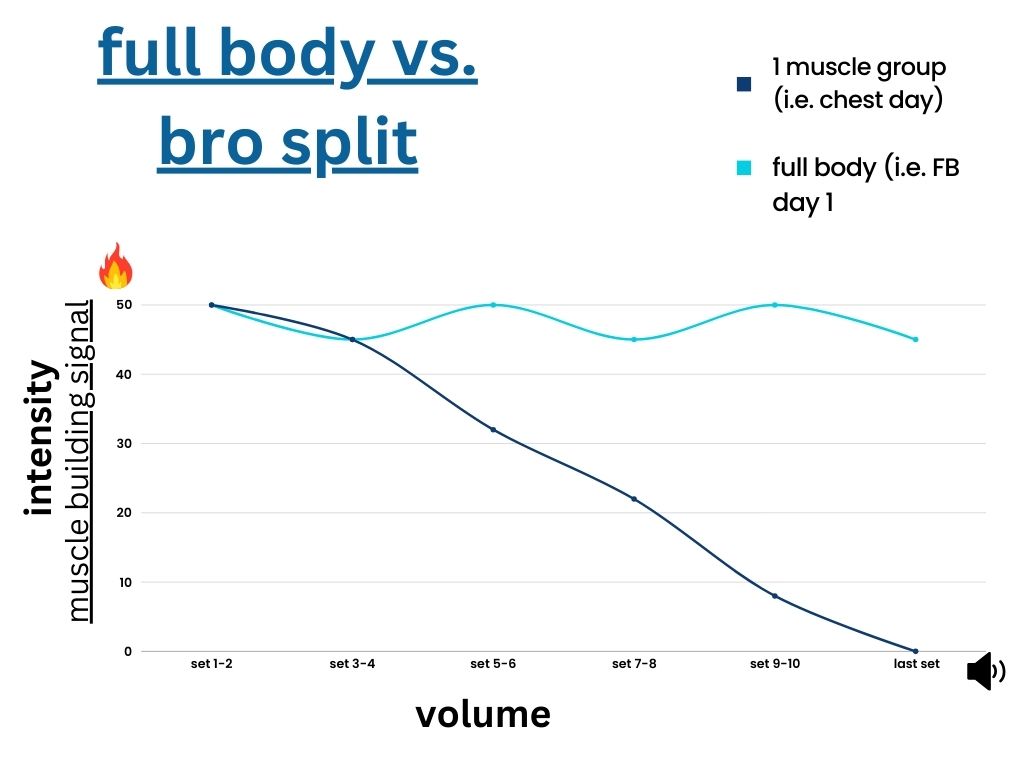 full body vs bro split