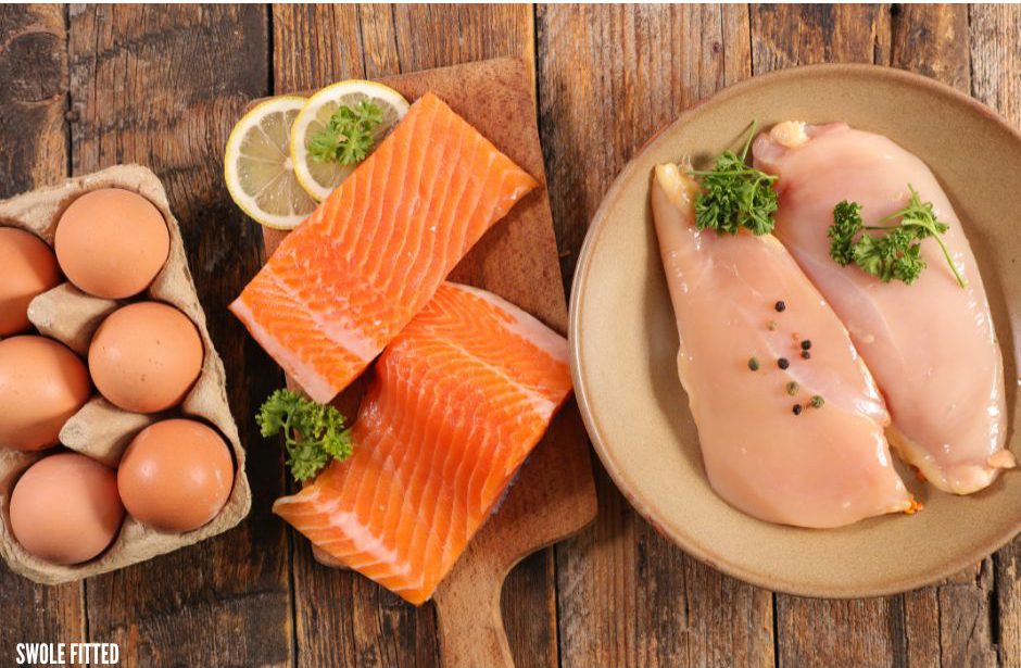 role of protein in fitness
