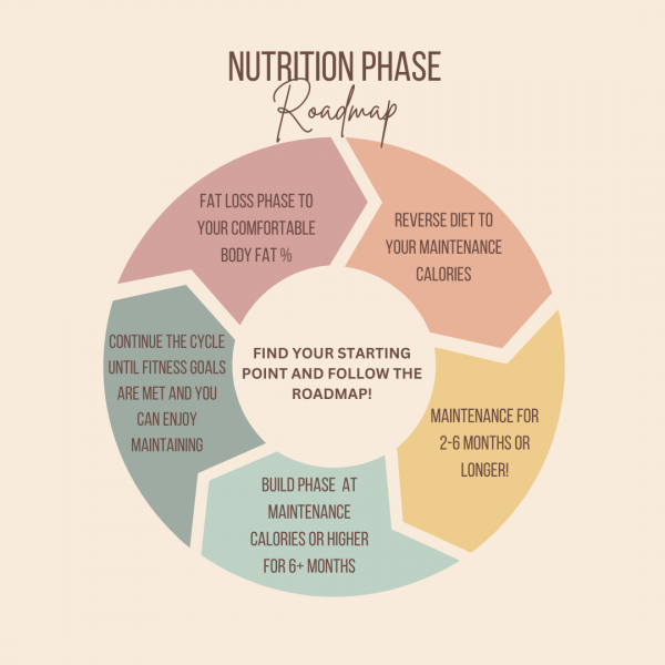 Nutrition Phases: A Roadmap to Achieving Your Fitness Goals - Fitness ...