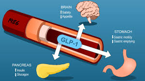 GLP-1 medications