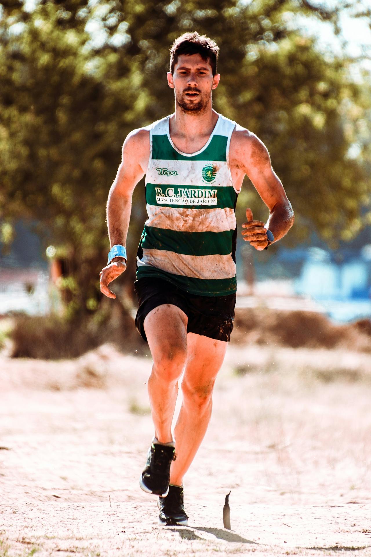 Spartan race
