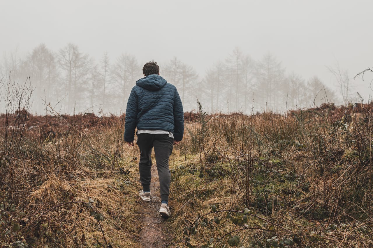 Why walking