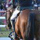 Equestrian Athlete