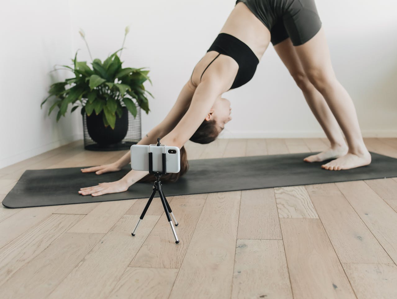 online trainer